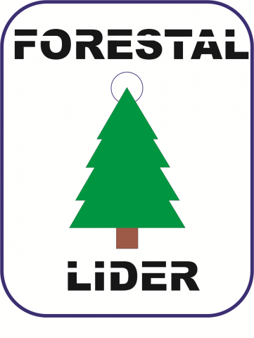 LOGO_LIDER.png